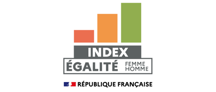 Pictogramme index professionnel